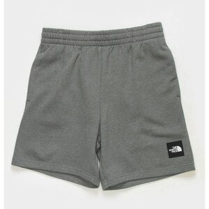 The North Face Gray Shorts